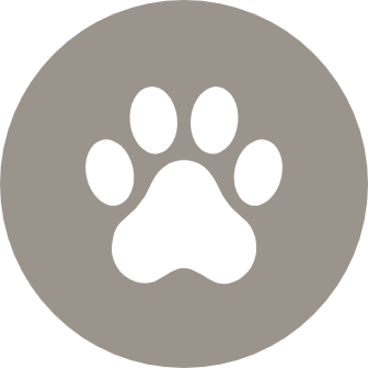 Pet-friendly apartments
